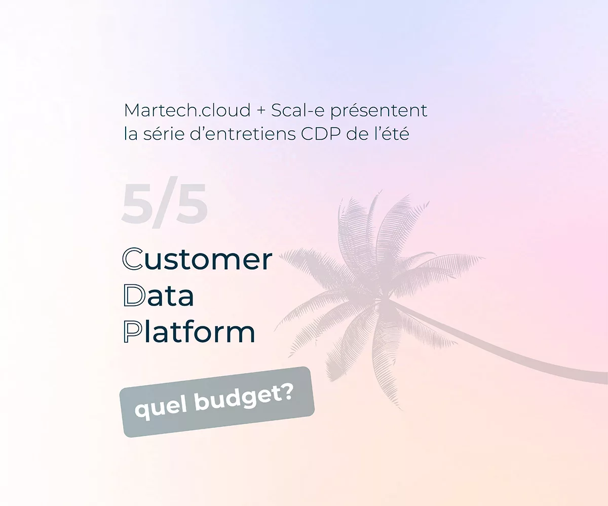 What is the budget for a Customer Data Platform?(CDP)
