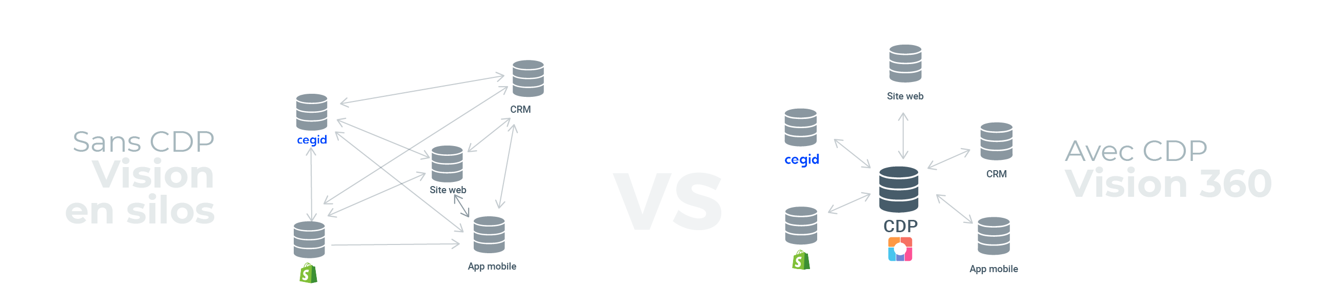 Qu’est-ce qu’une RealCDP™ ? 