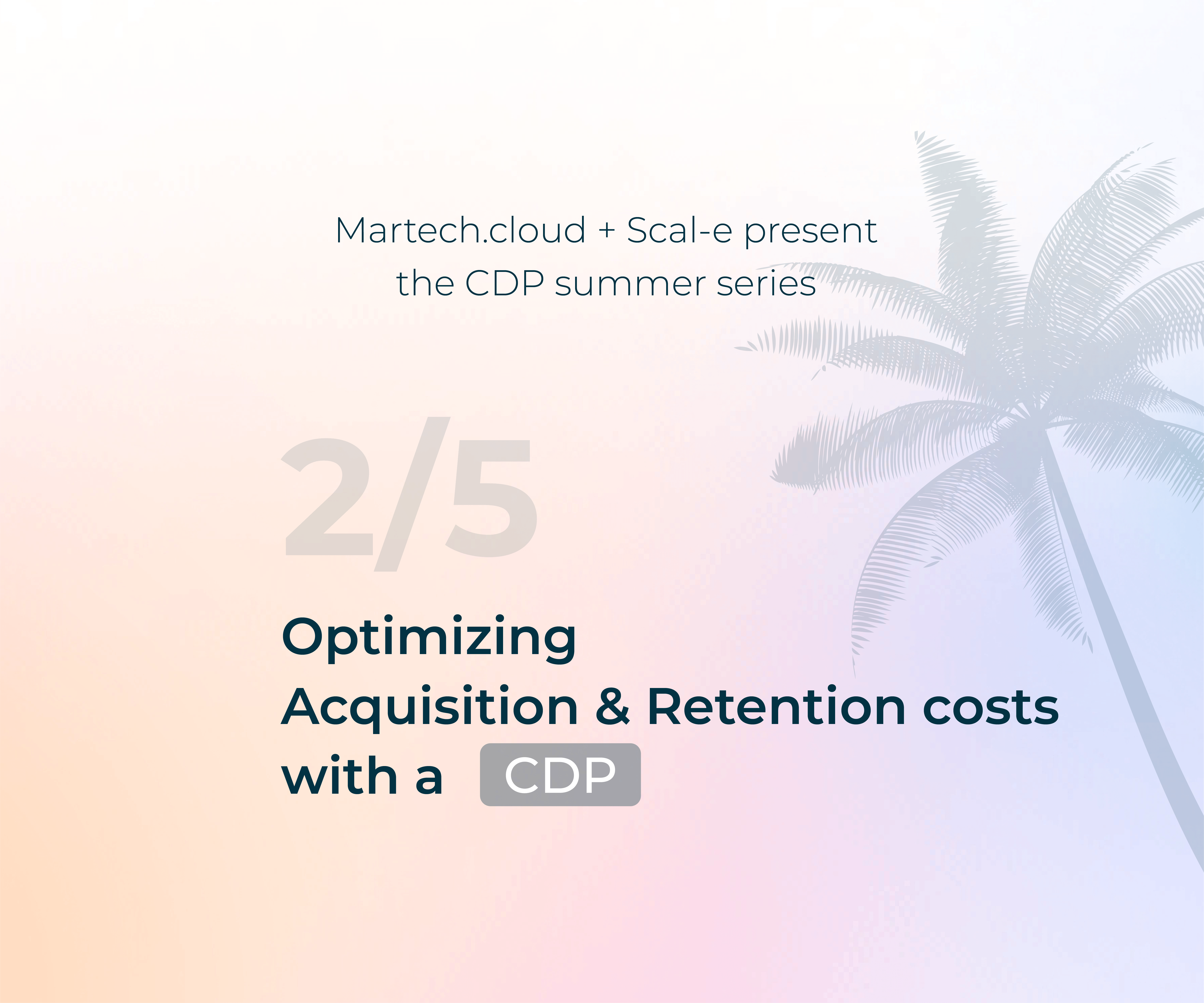 Optimizing Acquisition and Retention Costs with CDP