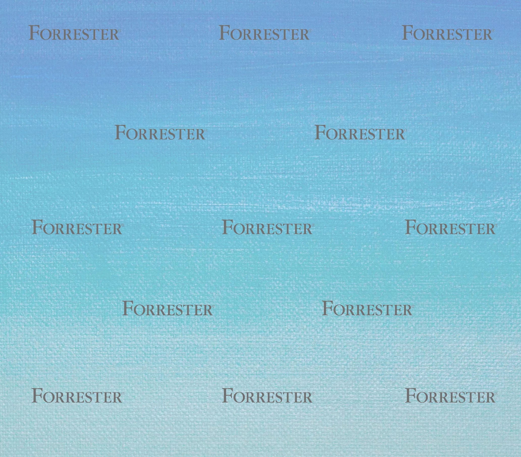 Scal-e, CDP B2B française dans le Forrester : de l’unification des données à l’expérience client