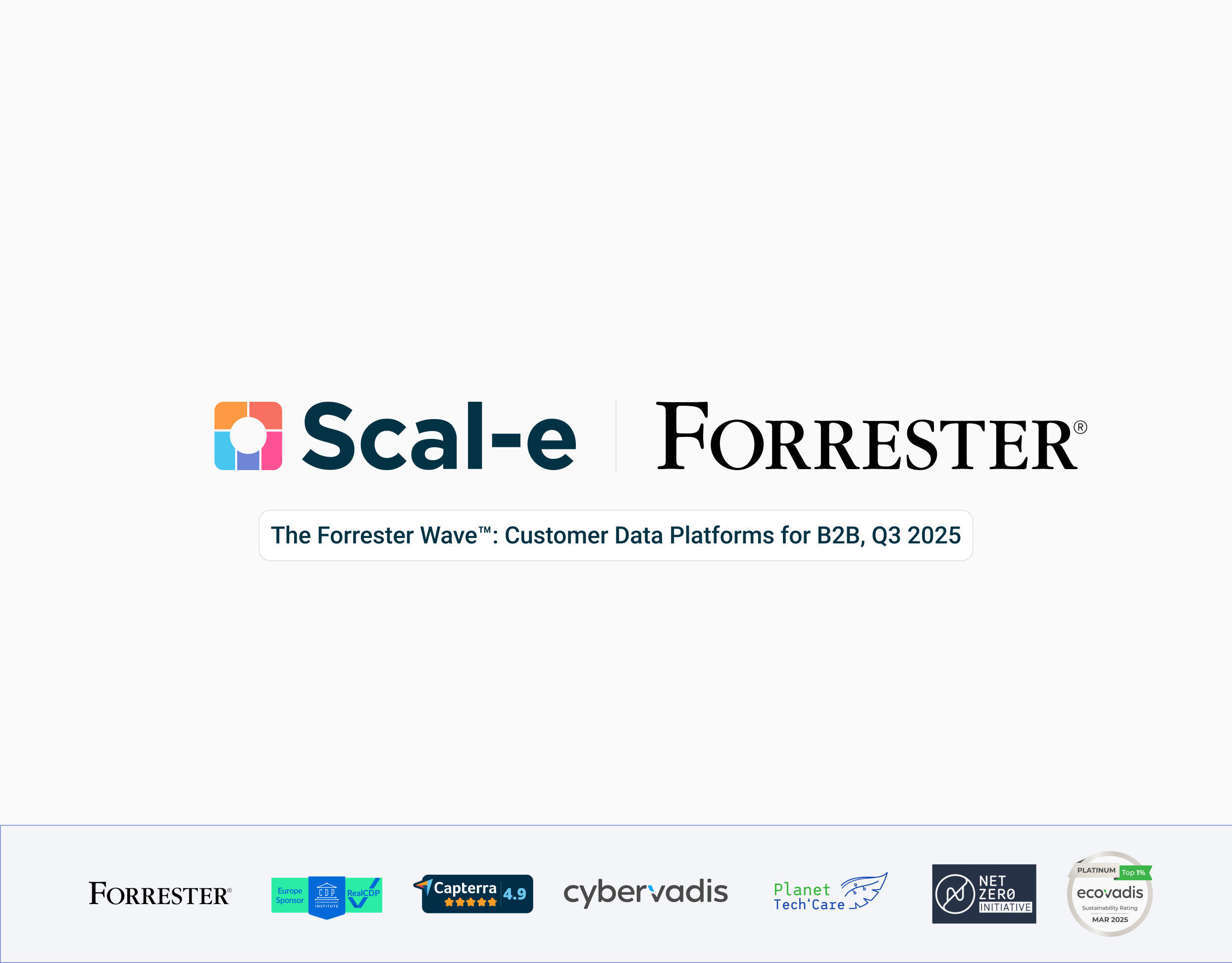 Scal-e in the Forrester Wave B2B CDP Report: The European CDP That Stands Out
